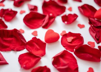 Kimse Bilmesin Seni Sevdiğimi / Feyza Nur Yeşil