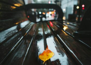 Aralık Kalsın / İbrahim Şaşma