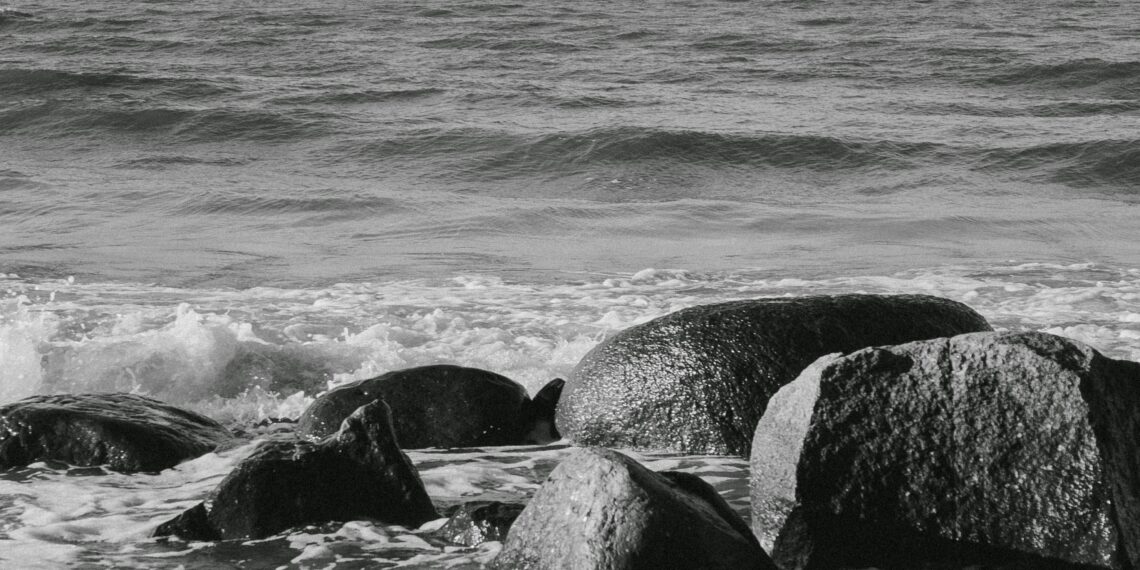 Ardı Sıra Çanlar / Pakize Demir