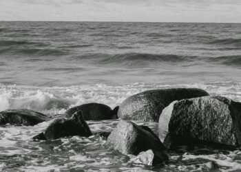 Ardı Sıra Çanlar / Pakize Özcan