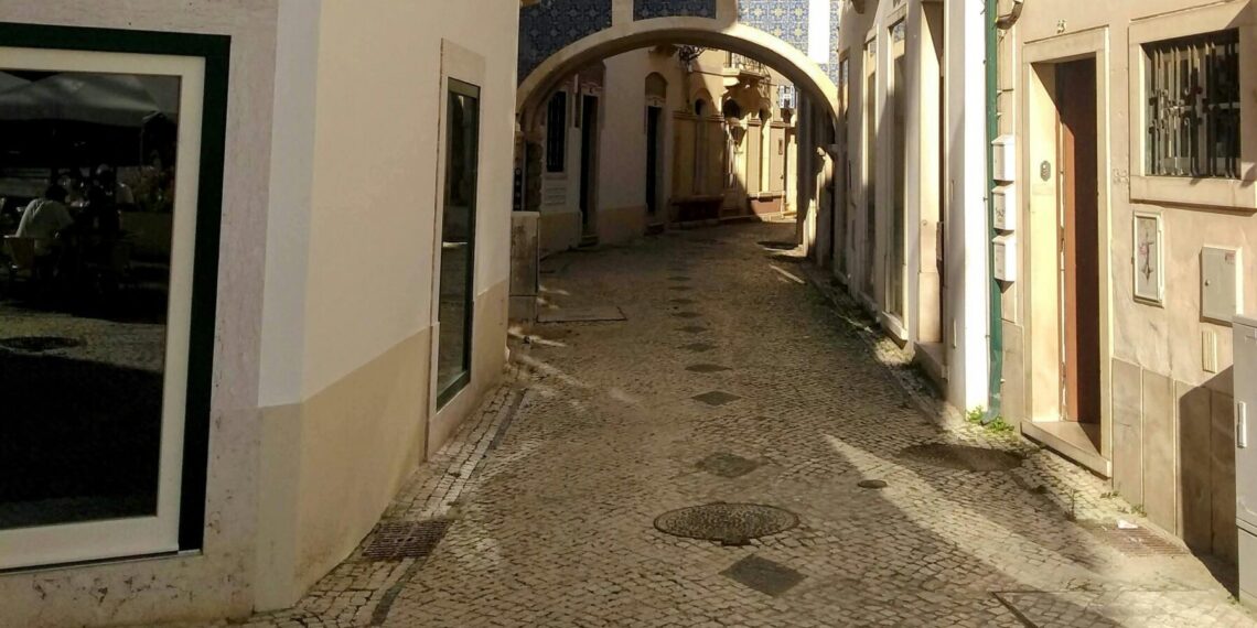 Çile Bülbülüm Çile / Sevinç Kayapınar