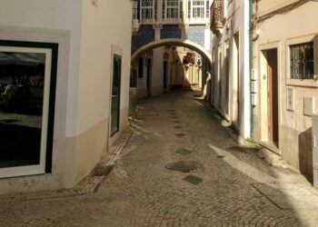 Çile Bülbülüm Çile / Sevinç Kayapınar