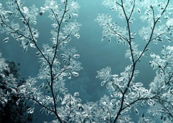 Kristaller Şehri / Dilara Pınar Arıç