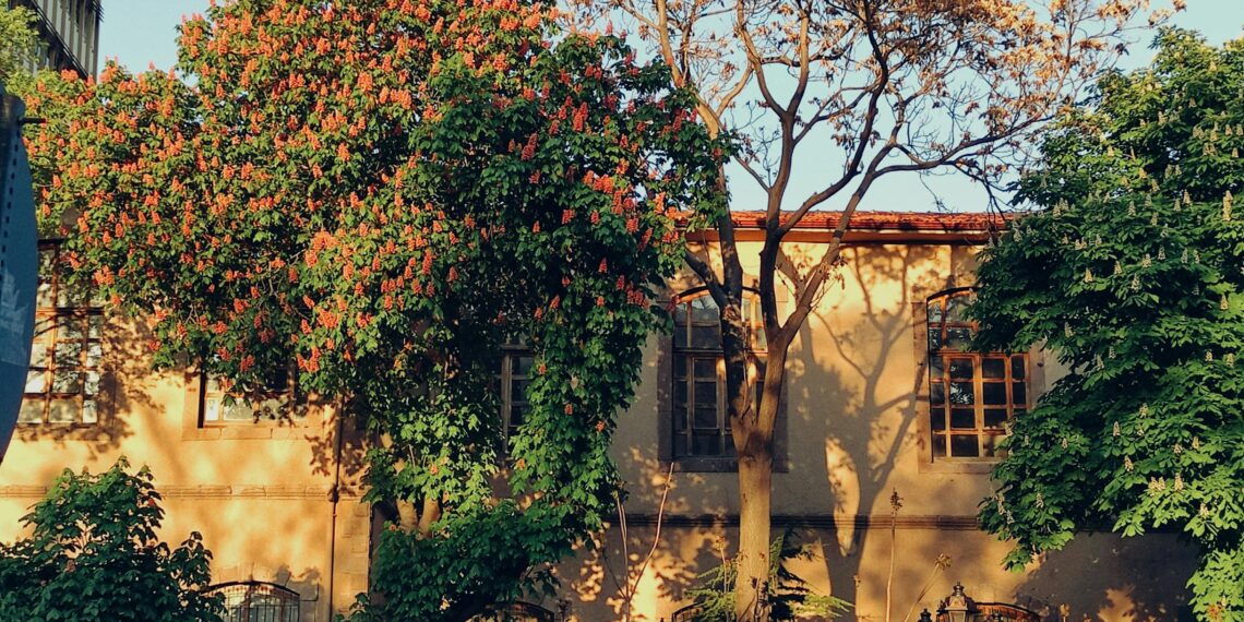 Huzur Sokağından Hüzün Devşirmek  / İbrahim Şaşma