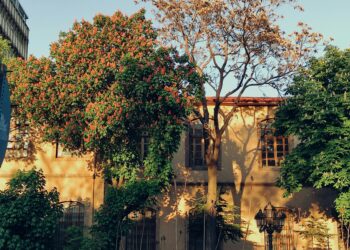 Huzur Sokağından Hüzün Devşirmek  / İbrahim Şaşma