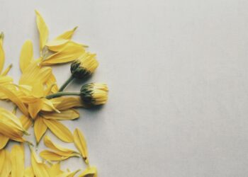 Ben Sevmeyi Ne Bilirdim / Avni Kuru