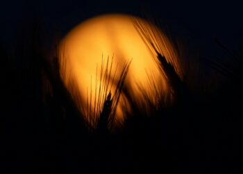 EY MÜBAREK KOCA YUNUS / Hatice Ertürk