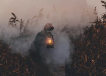 Şeytanın Türküsü / Şervan Celali