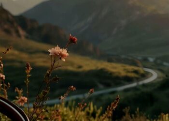 Hiç Öğretmedi Bize Rilke / Esra Sönmez