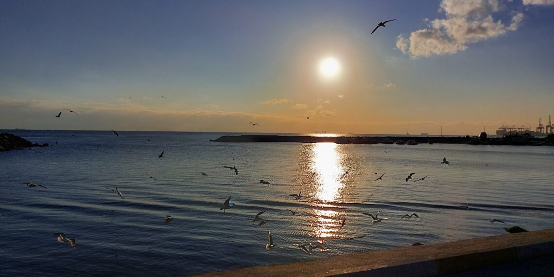 Aşk ve Şiir Ölümsüzdür/ Neslihan Bağlaç