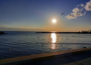 Aşk ve Şiir Ölümsüzdür/ Neslihan Bağlaç