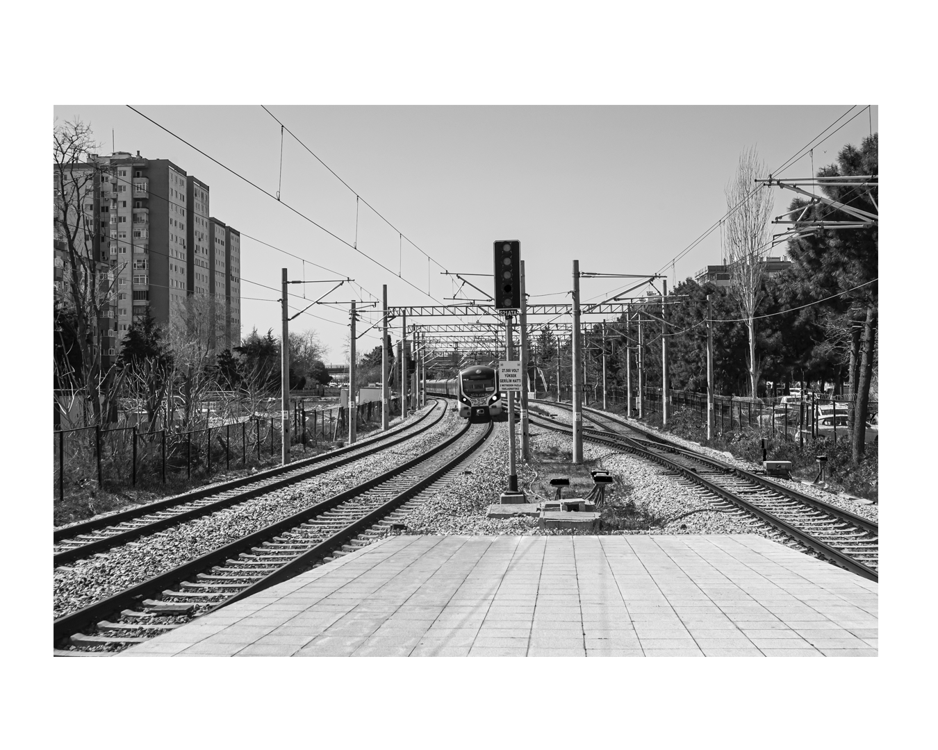 Aymaz Kinayeler / Betül Öztürk