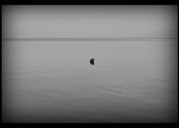 Kül / Betül Öztürk