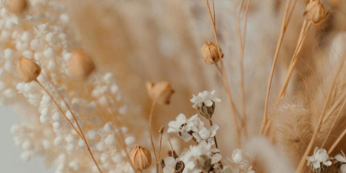 Kurumuş Bir Çiçek / Şeyma Gören