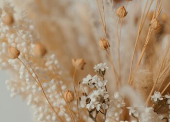 Kurumuş Bir Çiçek / Şeyma Gören