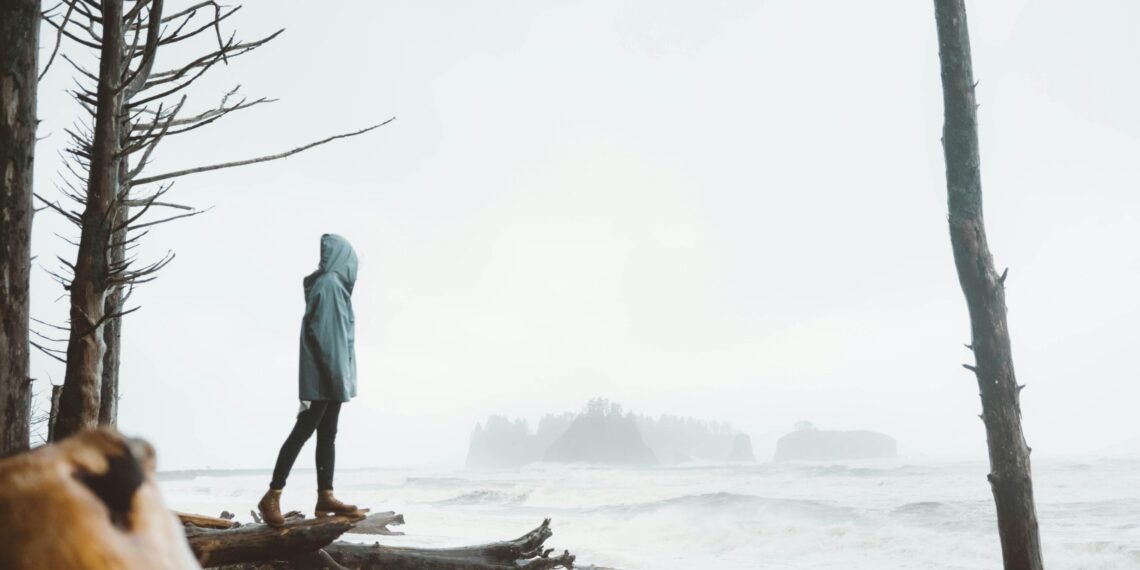 Fırtınada Yeşermek / Esra Sönmez