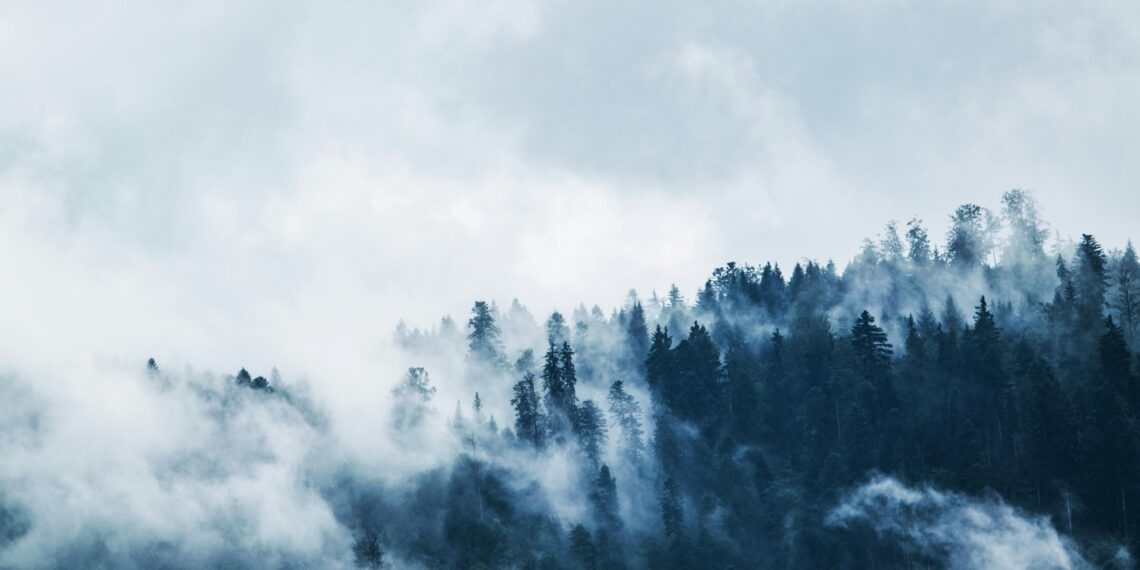 Veda / Furkan Özcan