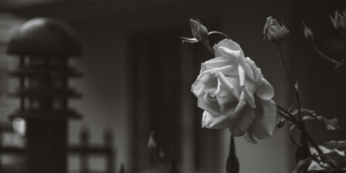 Güzel ve Dikenli / Asiye Yaşargün