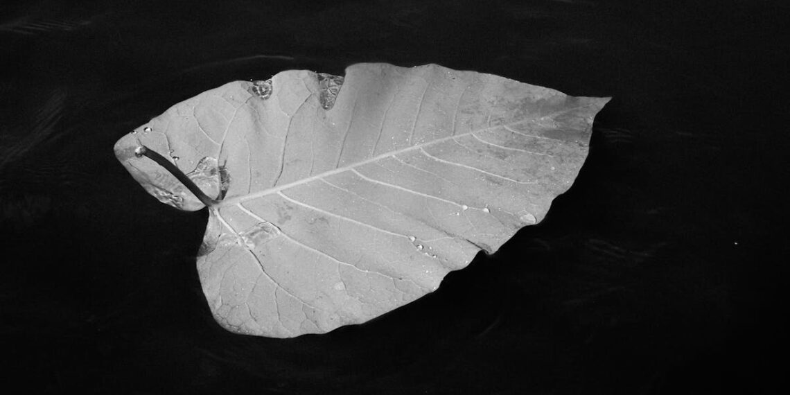 EKSİK KALAN SEVİNÇ