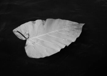 EKSİK KALAN SEVİNÇ