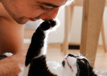 Kafamın İçindeki Kalabalık / İbrahim Damar