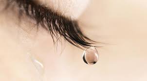 Dökülen İnci Taneleri/Canan Tümen