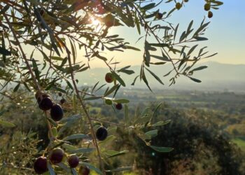 Değişmeyen Sesler: Toplumsal Cinsiyet ve İnsan Olmak