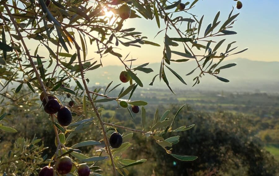 Değişmeyen Sesler: Toplumsal Cinsiyet ve İnsan Olmak
