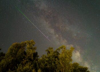 Bırakamıyorum Tutunmayı / Ayşegül Karabaş