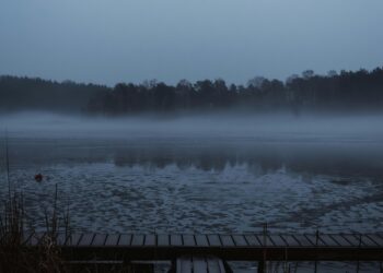 Nedir Gerçek Dediğimiz / Erkan Eren