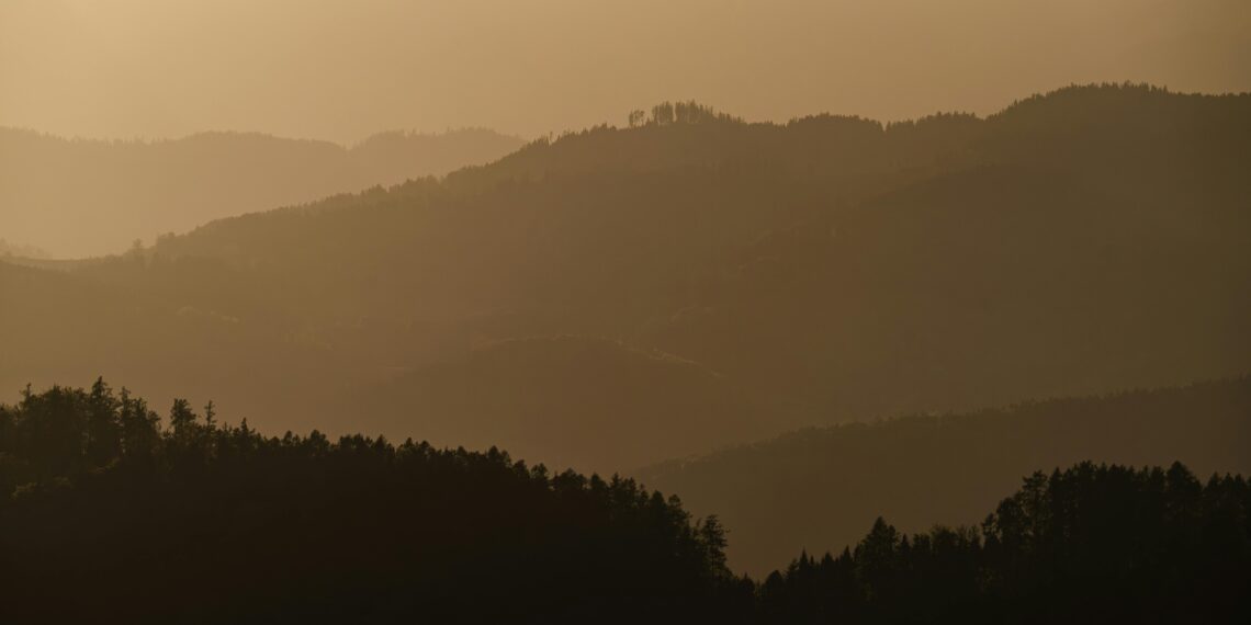 Gün Olur / Erkan Eren