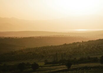 Toprağın Hafızasıyla Konuşurken / Büşra Eraltuğ
