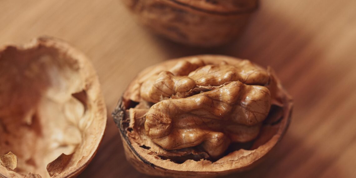 Dönüşüm / Birsen Kılıç