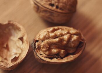 Dönüşüm / Birsen Kılıç