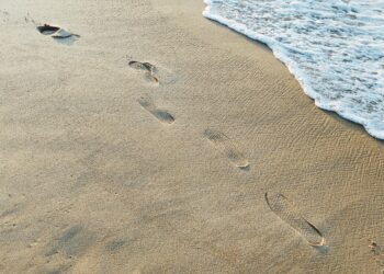 Mahşerin İki Yaylısı / Merve Balcıoğlu