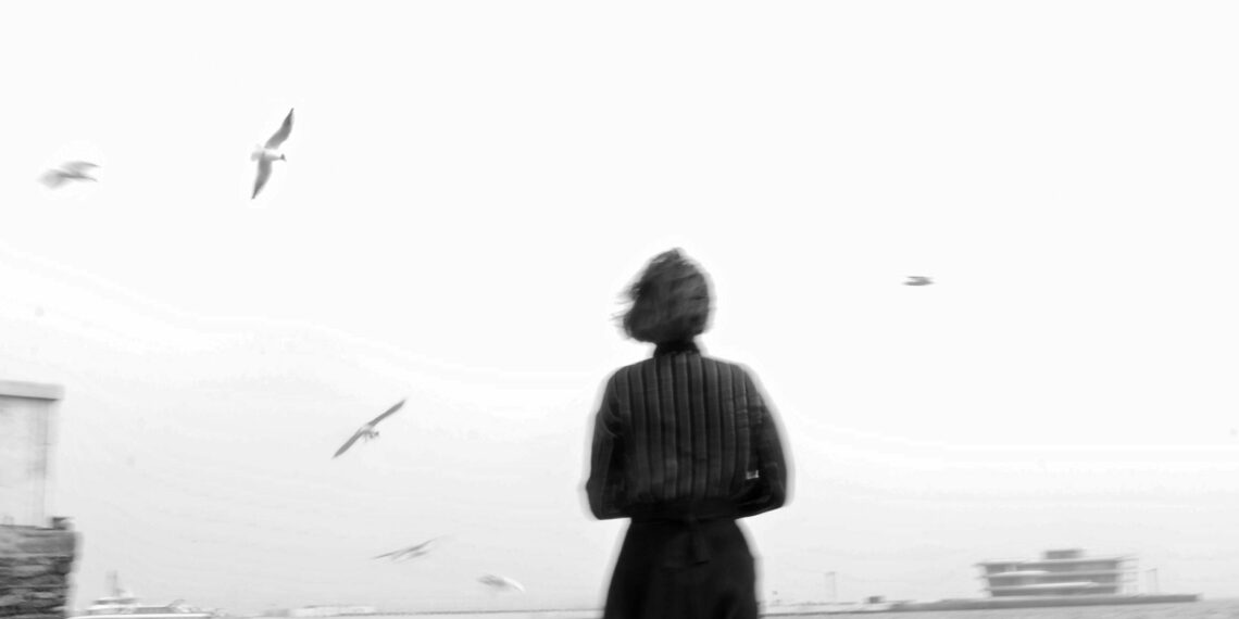 HİÇBİR ŞEYİN ŞİİRİ: HİCRET EDEN SERÇELER SENFONİSİ