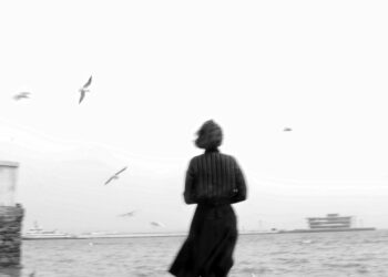 HİÇBİR ŞEYİN ŞİİRİ: HİCRET EDEN SERÇELER SENFONİSİ