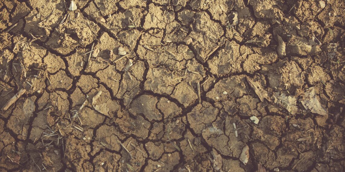 Toprağın Hafızası / Büşra Eraltuğ