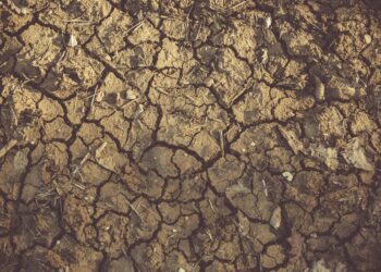 Toprağın Hafızası / Büşra Eraltuğ