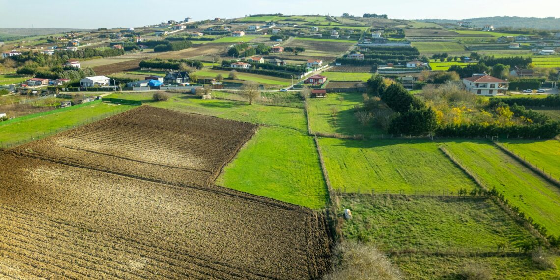 Köy Yeli / Çiğdem Taşkın