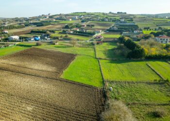 Köy Yeli / Çiğdem Taşkın