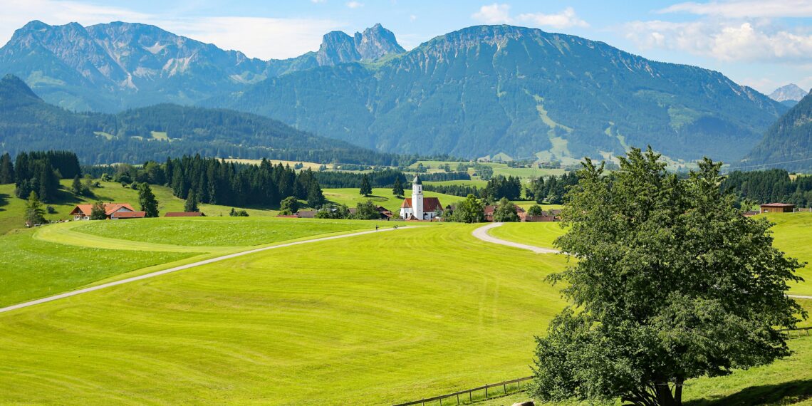 Memleketim / Şule Topuz