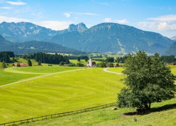 Memleketim / Şule Topuz