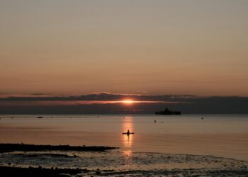 Düş ve Kül / Emirşah Sarıoğlu