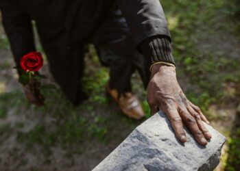 Birkaç Kürek Toprak / Faruk Habiboğlu