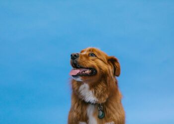 Ben Latte / Müjgan Ersuna