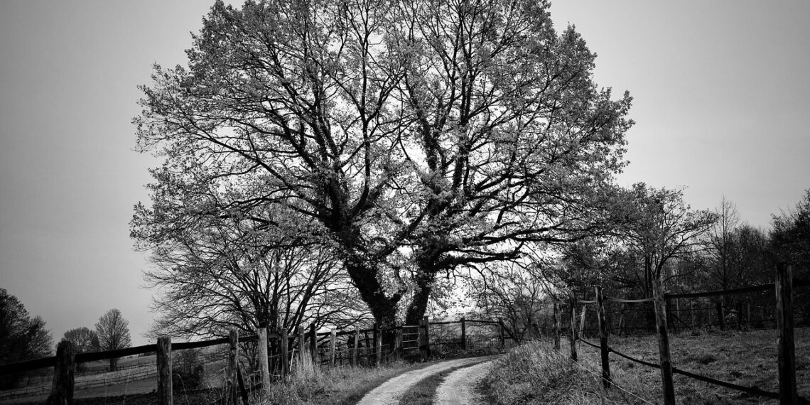şiirin adı yaşamak
