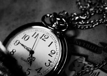 üç yüz altmış artı beş/canan tümen