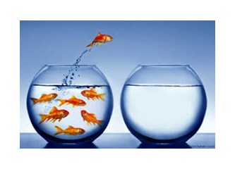 Fanustan Sudan Çıkmış Balığa