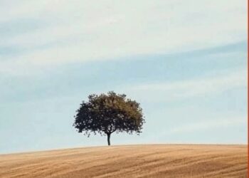 Yarıdan sonra söylenen şarkı  / Salih Melikoğlu